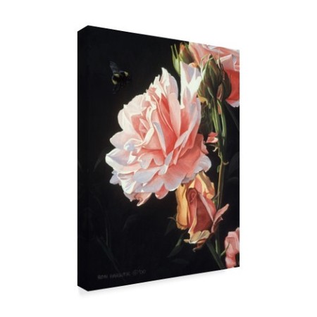 Trademark Fine Art Ron Parker 'Rose And Bumblebee' Canvas Art, 14x19 ALI32618-C1419GG